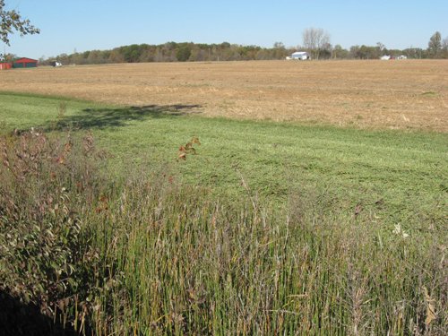 Property photo 9 - 110+/- Acres offered in 4 Tillable Tracts